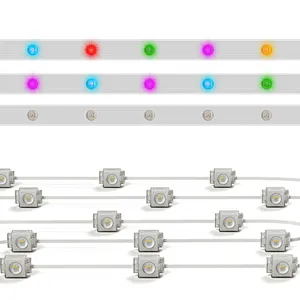 RGBW DC24V Holiday Eaves Decorative Lights Smart LED Pixel Lights
